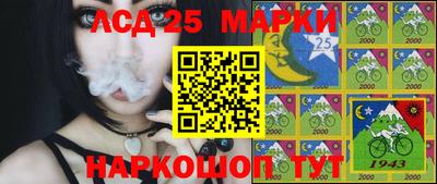 шишки Донской