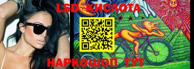 шишки Донской