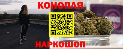 шишки Донской