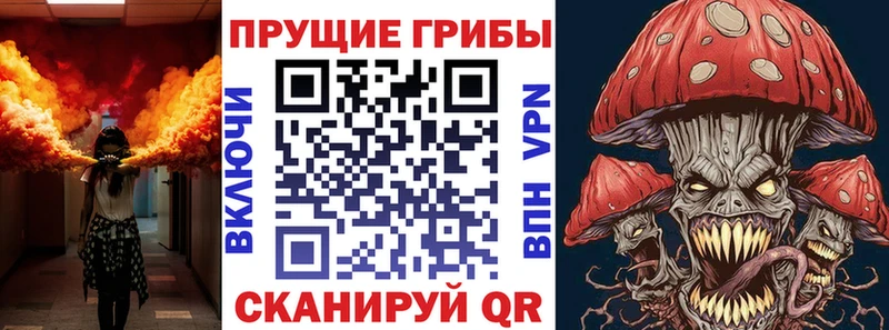 ссылка на мегу сайт Морозовск Галлюциногенные грибы Psilocybine cubensis