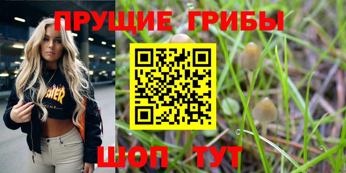 Галлюциногенные грибы ЛСД  наркошоп  Морозовск 